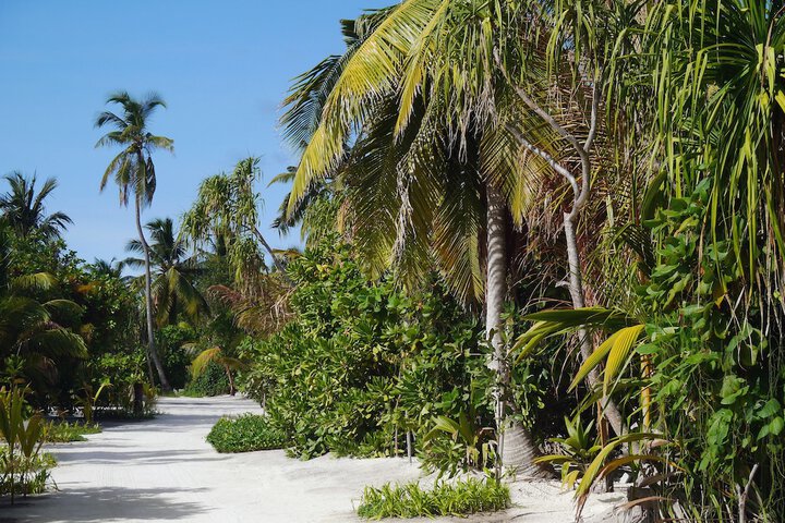 Beach 74 of 88