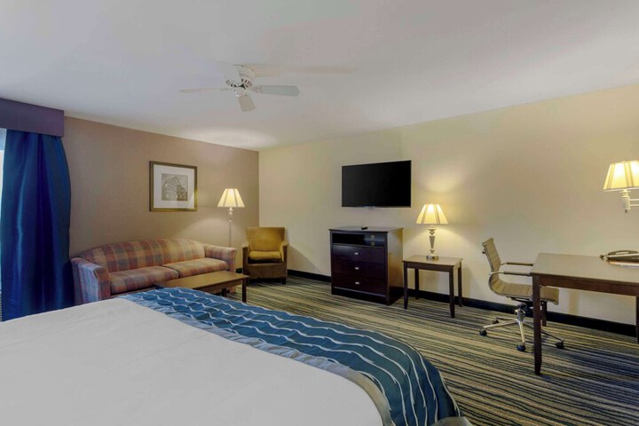 1 King Bed (4 of 15)