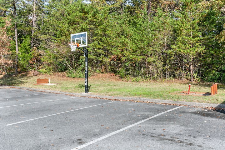 Basketball court