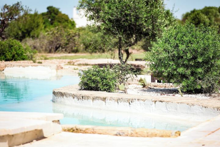 Pool 28 of 39