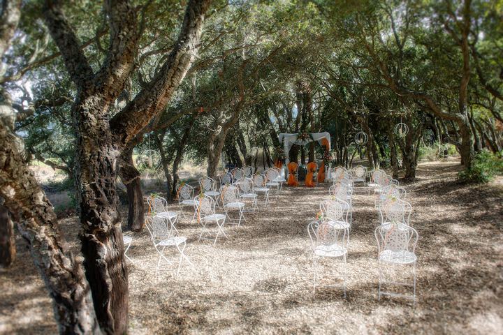 Wedding/Banquet 42 of 45