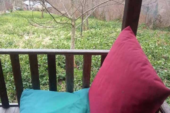 Terrace/Patio 8 of 12