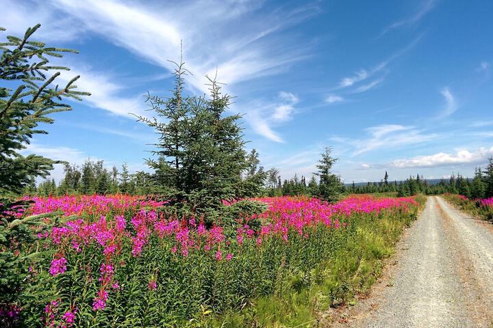 Property Grounds 36 of 57