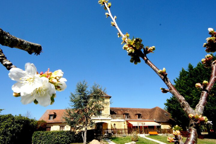 Logis Hôtel - Les Collines in Cublac