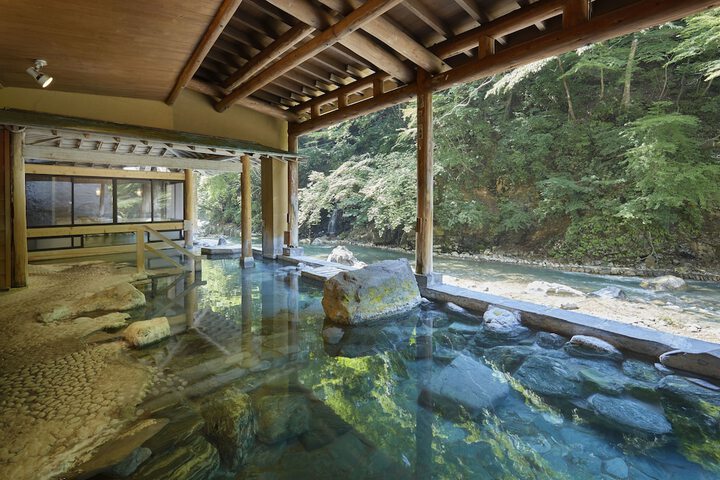 Wellness Treatments