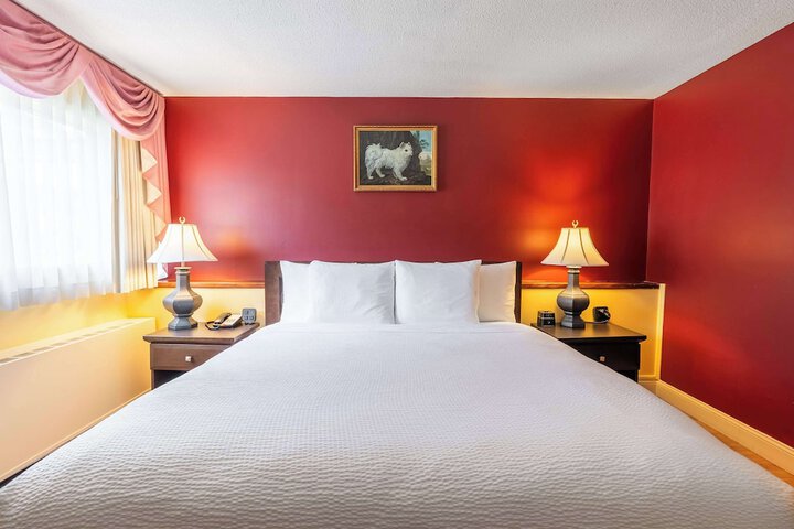 1 King Bed (9 of 39)