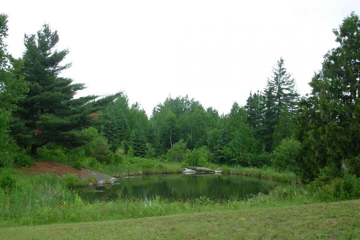 Property Grounds 17 of 26