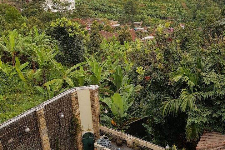 Hotel Scarlet Bukit Pakar