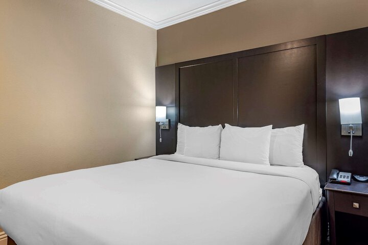 King Suite with Sofa Bed (4 of 17)