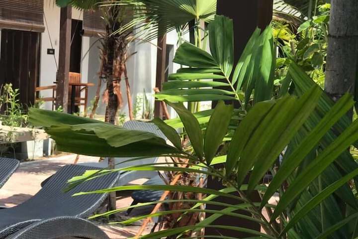 Hotel Exterior 93 of 108