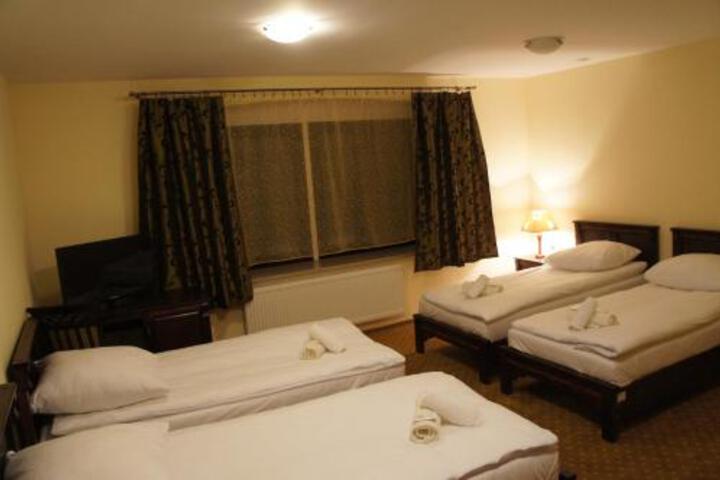 Hotel Restauracja Dworska Elektrownia