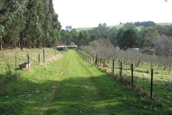 Property Grounds 14 of 20