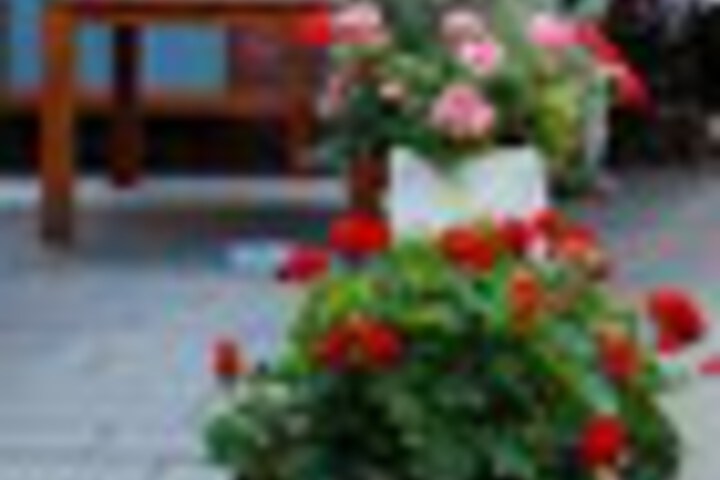 Terrace/Patio 26 of 27