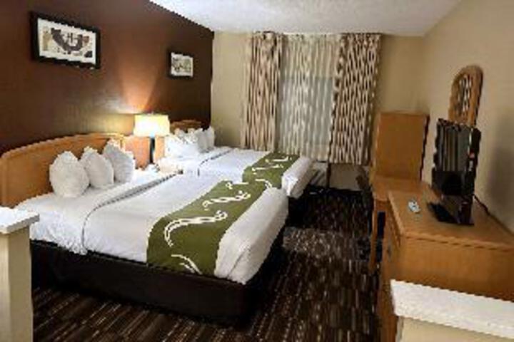 Suite room