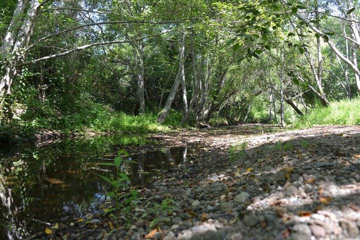 Property Grounds 57 of 76