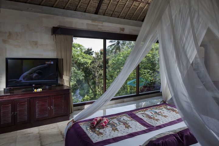 View from room