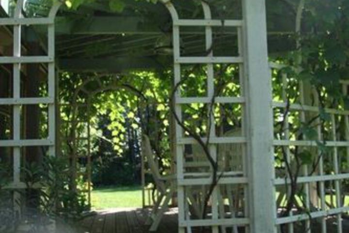 Terrace/Patio 8 of 11