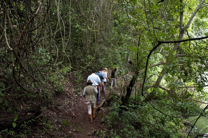 Outdoor Activities 17 of 46