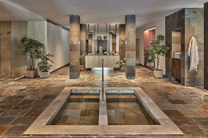 Wellness Treatments