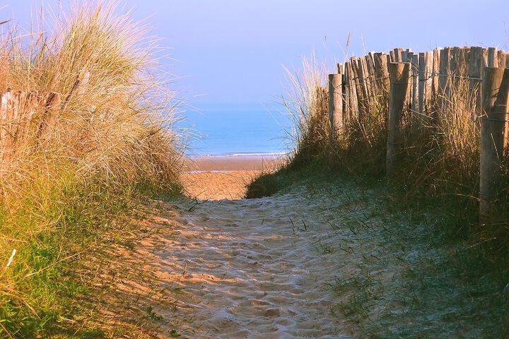 Beach 39 of 60
