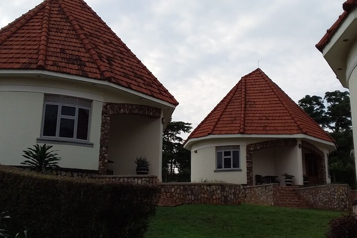 Room 4 of 25