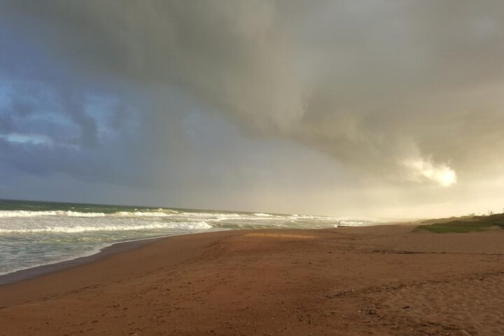 Beach 50 of 52