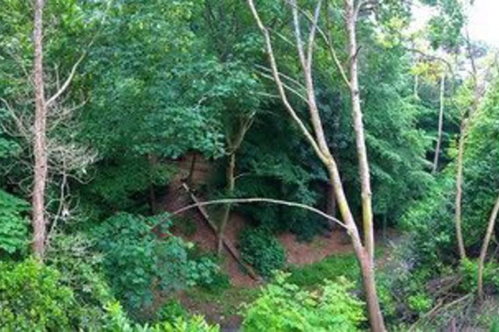 Property Grounds 27 of 30
