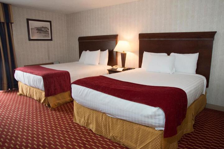 1 King Bed