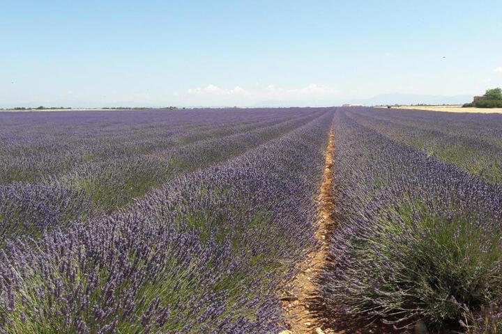 General 38 of 43
