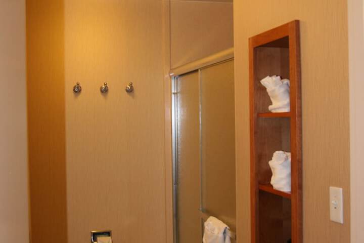 Bathroom shower