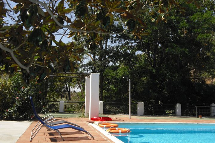 Pool 31 of 40