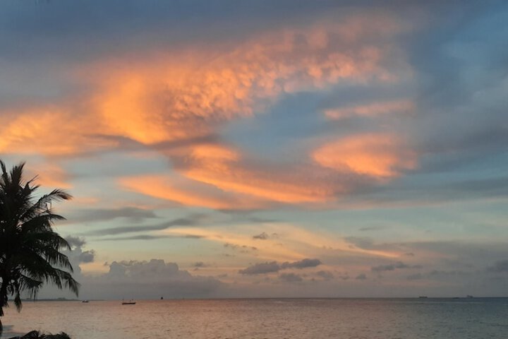 Beach 17 of 19