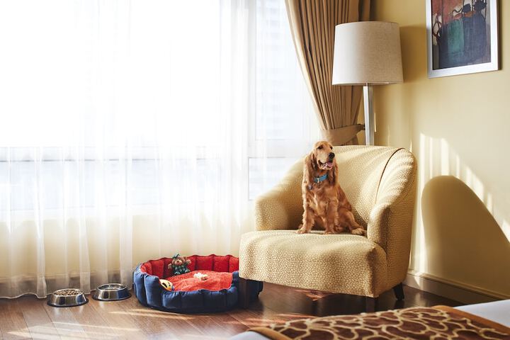 Pet Friendly 35 of 63