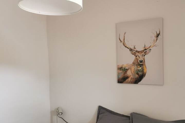 Room 43 of 124