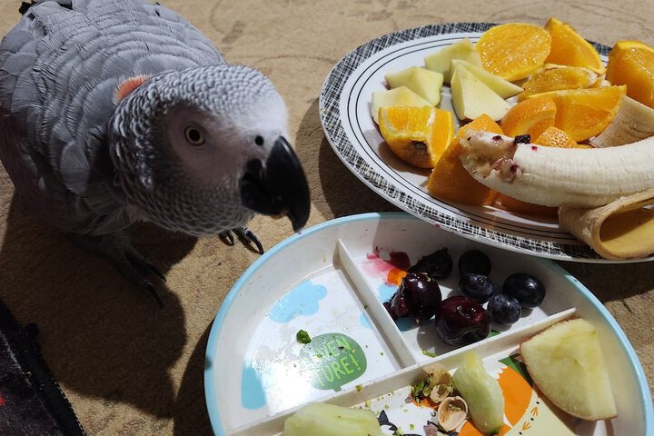 Childrens Activities 89 of 109