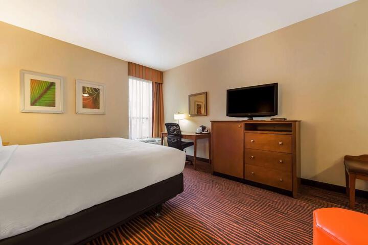 1 Queen Bed Sofa Bed Sitting Area Microwave and Refrigerator High Speed Internet Accessible Full Breakfast (11 of 26)