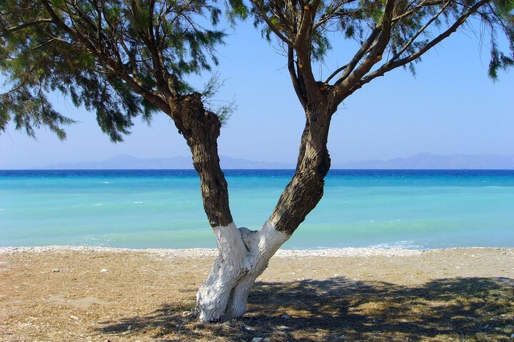 Beach 77 of 78