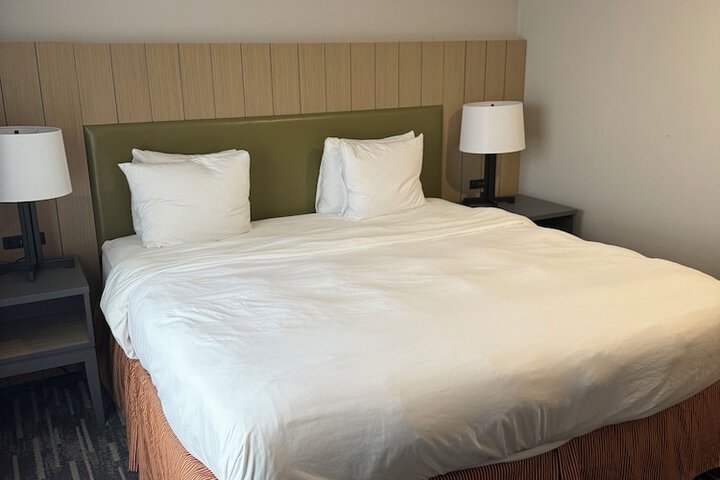 1 King Bed (18 of 25)