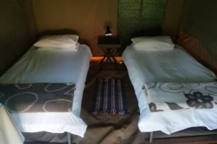 Room 33 of 39
