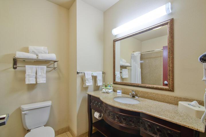 1 King Bed Suite (2 of 10)