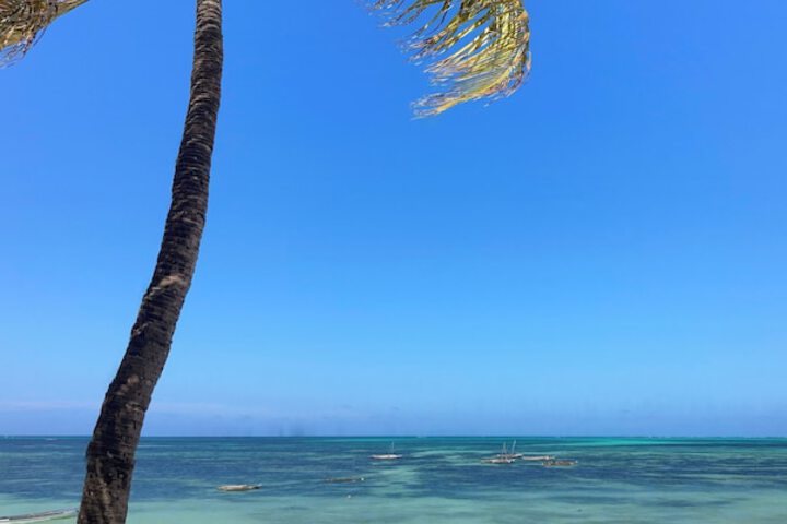 Beach 46 of 61