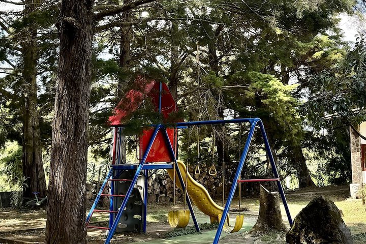 Childrens Activities 29 of 36