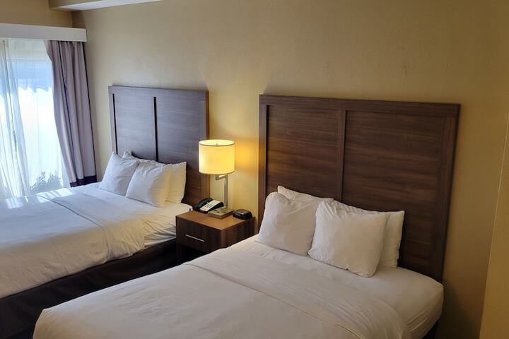 2 Queen Beds (7 of 29)