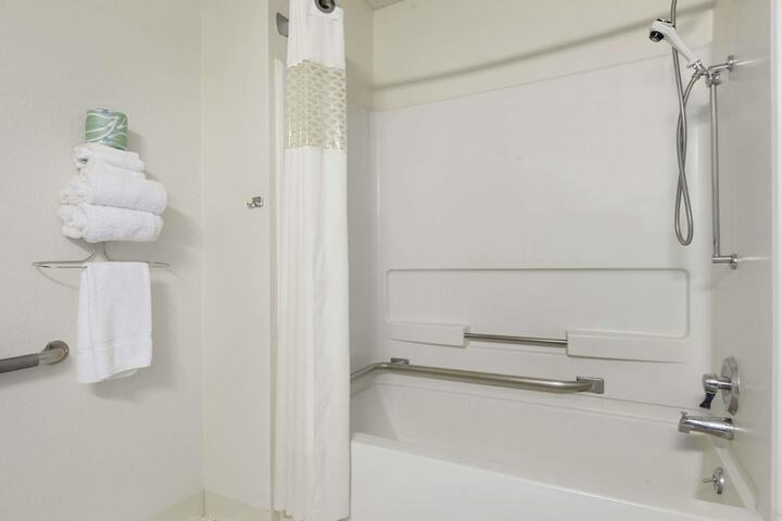 1 Queen Bed Mobility Accessible (7 of 14)
