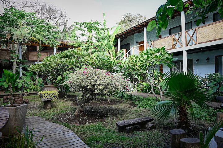 Property Grounds 61 of 79