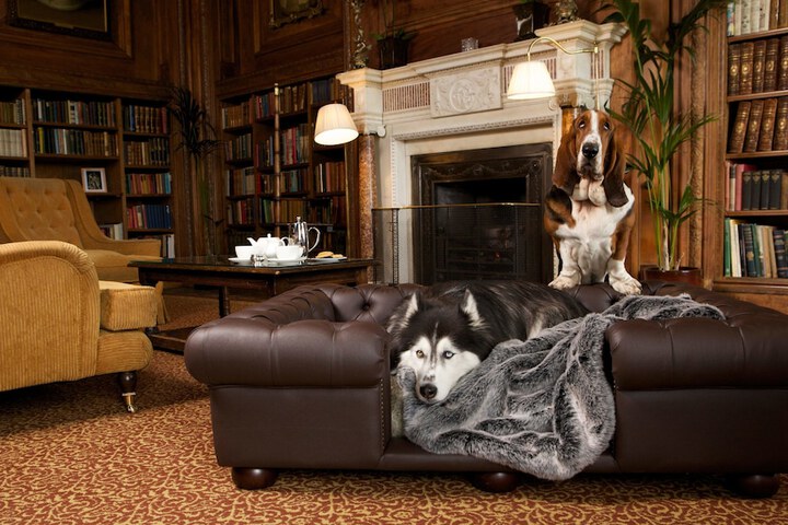 Pet Friendly 166 of 189
