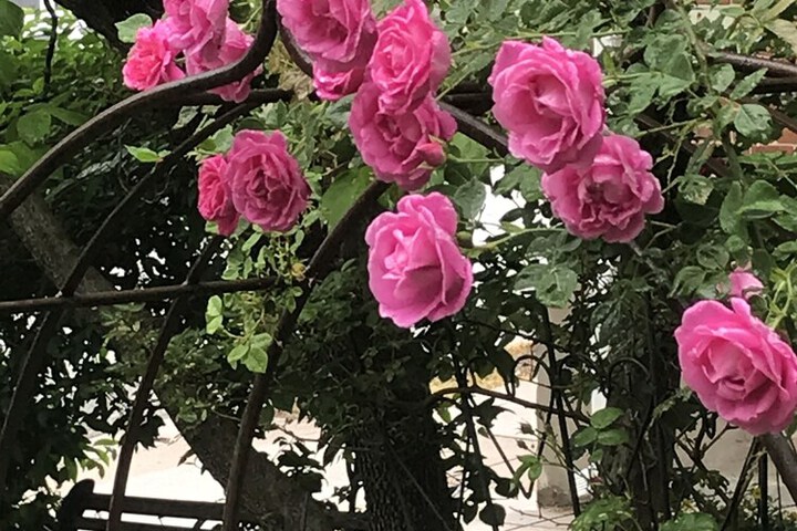 Hotel Exterior 43 of 52