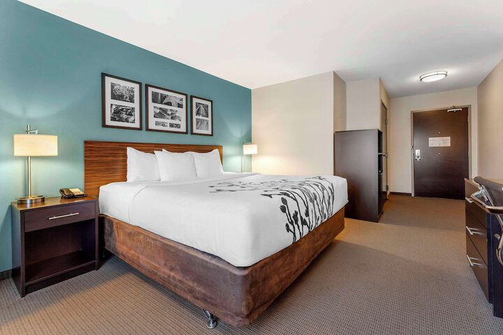 1 King Bed (8 of 20)