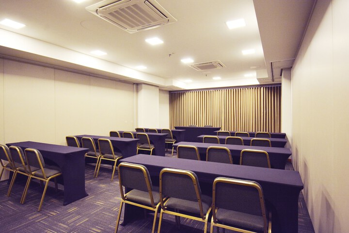 Meeting 116 of 132