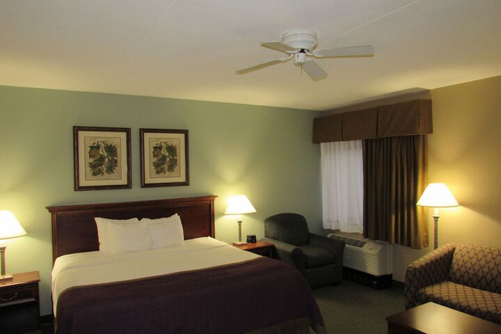 Deluxe King Bed (14 of 39)